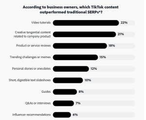 TikTok izaziva Googleovu tražilicu_tvrtke