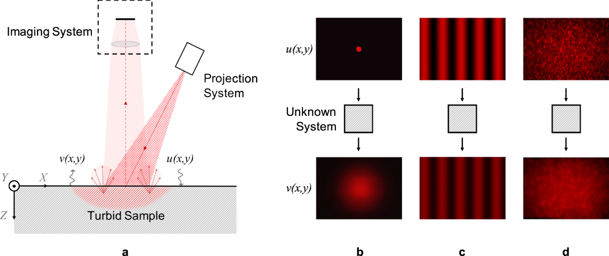 Faceid Structured Light Honor lansirao prvi dodatak za kameru sa “speckle structured light ...