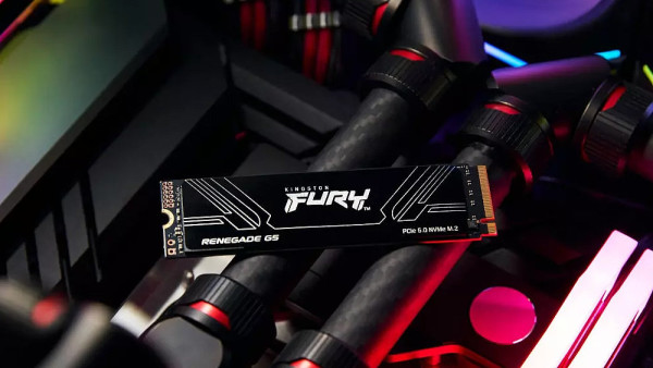 Kingston Fury Renegade G5 SSD – curenje informacija