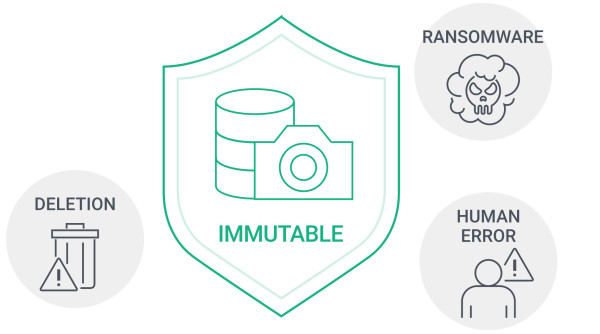 03_immutable_snapshots